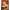 AARON BOHROD, Untitled (Nude on Bench) | ragoarts.com