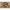 ARTHUR WESLEY DOW, Cypress in Sand Dunes | ragoarts.com