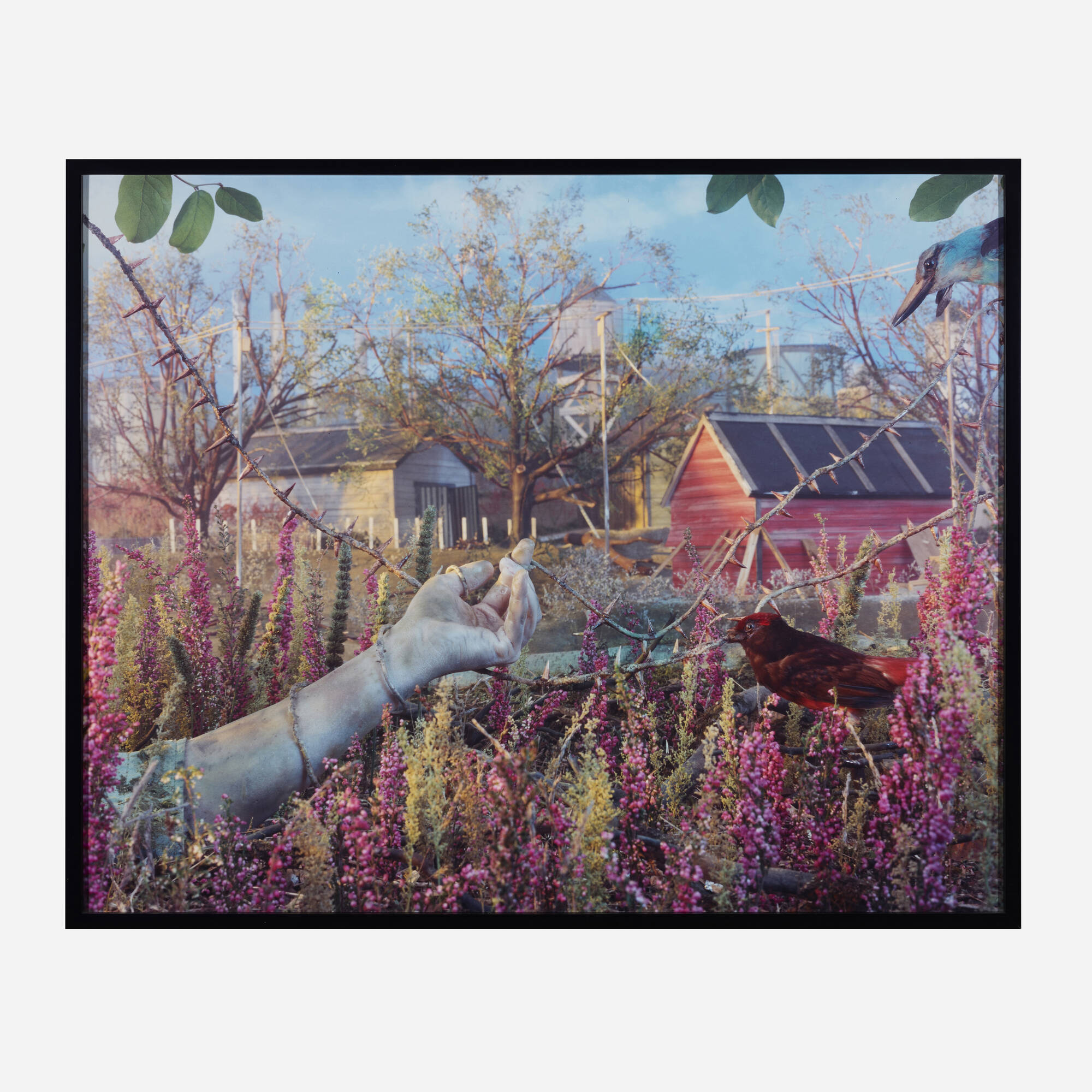 217: GREGORY CREWDSON, Untitled (Hand With Vines) < Photographs, 25 October  2024 < Auctions | Rago Auctions