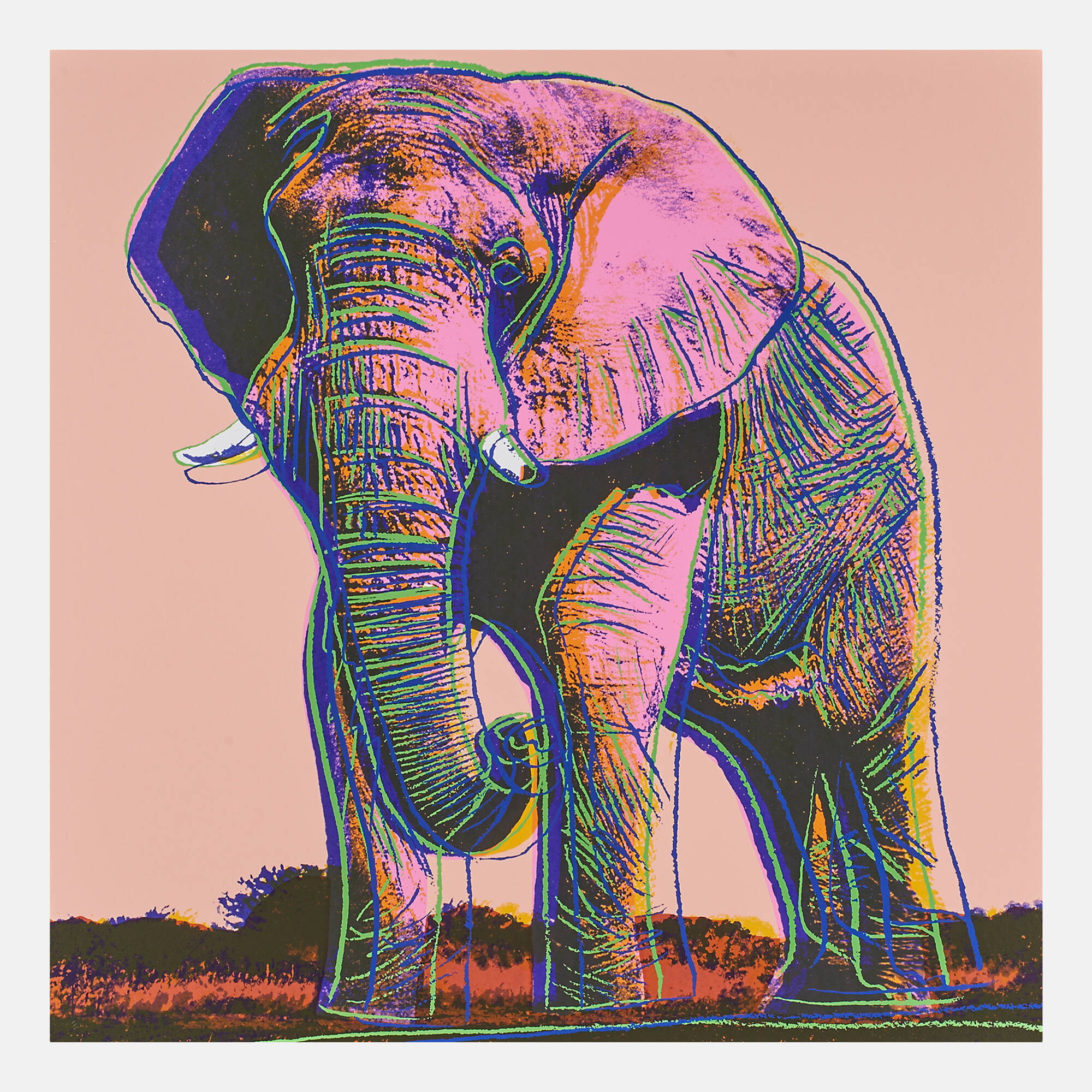 302: AFTER ANDY WARHOL, Siberian Tiger, Pine Barrens Tree